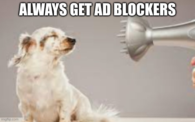 grooming | ALWAYS GET AD BLOCKERS | image tagged in grooming | made w/ Imgflip meme maker