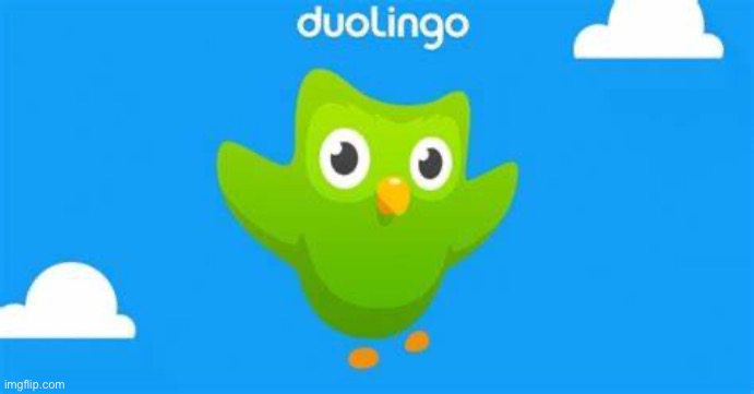 Duolingo Flying | image tagged in duolingo flying | made w/ Imgflip meme maker