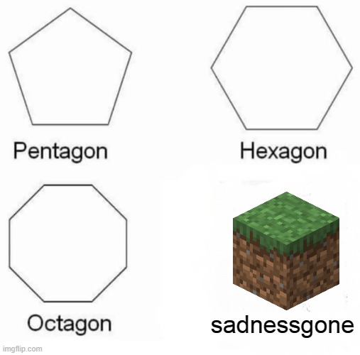 NO SADNESS ONLY FUN |  sadnessgone | image tagged in memes,pentagon hexagon octagon | made w/ Imgflip meme maker