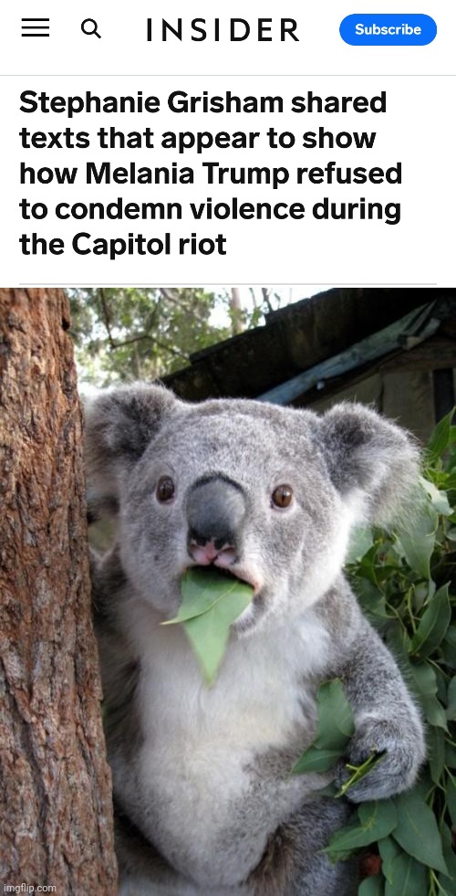 Over 800 charged with crimes, 1/3 have pleaded guilty, over a dozen with gun charges | image tagged in memes,surprised koala,terrorists,terrorist,illegal immigrant | made w/ Imgflip meme maker