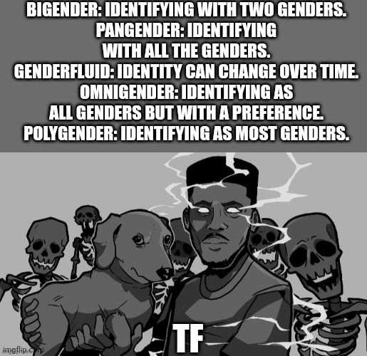 homophobic gang | BIGENDER: IDENTIFYING WITH TWO GENDERS.
PANGENDER: IDENTIFYING WITH ALL THE GENDERS.
GENDERFLUID: IDENTITY CAN CHANGE OVER TIME.
OMNIGENDER: IDENTIFYING AS ALL GENDERS BUT WITH A PREFERENCE.
POLYGENDER: IDENTIFYING AS MOST GENDERS. TF | image tagged in homophobic gang | made w/ Imgflip meme maker