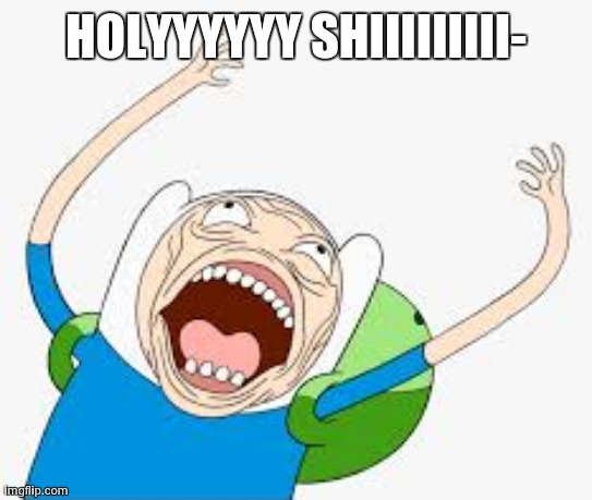 Finn yells | HOLYYYYYY SHIIIIIIIII- | image tagged in finn yells | made w/ Imgflip meme maker