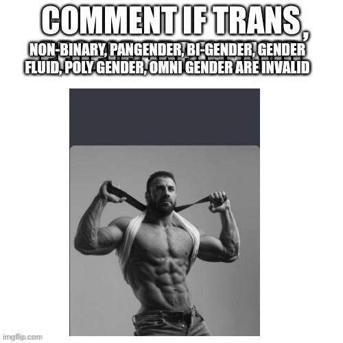 , NON-BINARY, PANGENDER, BI-GENDER, GENDER FLUID, POLY GENDER, OMNI GENDER ARE INVALID | made w/ Imgflip meme maker