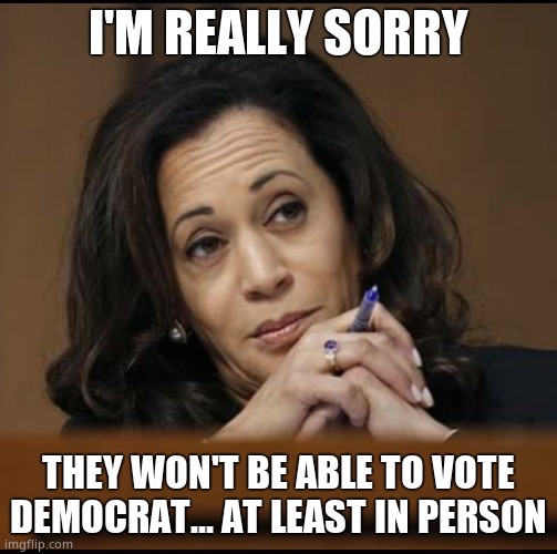 Kamala Harris  | I'M REALLY SORRY THEY WON'T BE ABLE TO VOTE DEMOCRAT... AT LEAST IN PERSON | image tagged in kamala harris | made w/ Imgflip meme maker