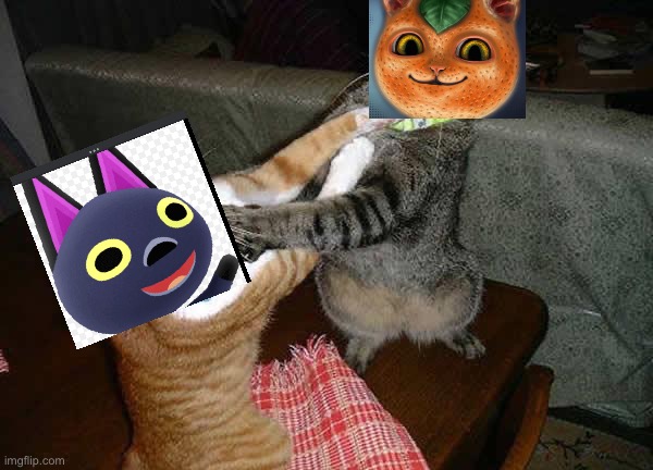 Kiki and Tangy fighting | image tagged in two cats fighting for real,meme,animal crossing | made w/ Imgflip meme maker