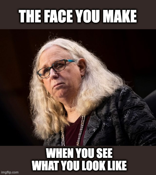 The Face You Make | THE FACE YOU MAKE; WHEN YOU SEE WHAT YOU LOOK LIKE | image tagged in transgender,woke,stupid liberals | made w/ Imgflip meme maker