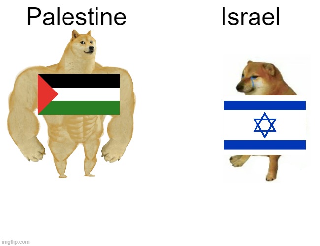 Free Palestine | Palestine; Israel | image tagged in memes,buff doge vs cheems | made w/ Imgflip meme maker