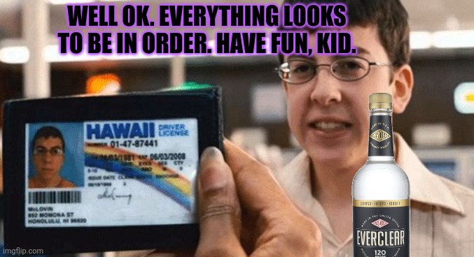 mclovin | WELL OK. EVERYTHING LOOKS TO BE IN ORDER. HAVE FUN, KID. | image tagged in mclovin | made w/ Imgflip meme maker