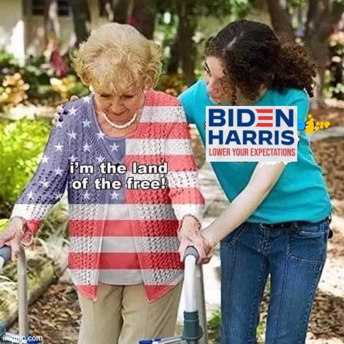 Lower your expectations | image tagged in biden,kamala harris,usa | made w/ Imgflip meme maker