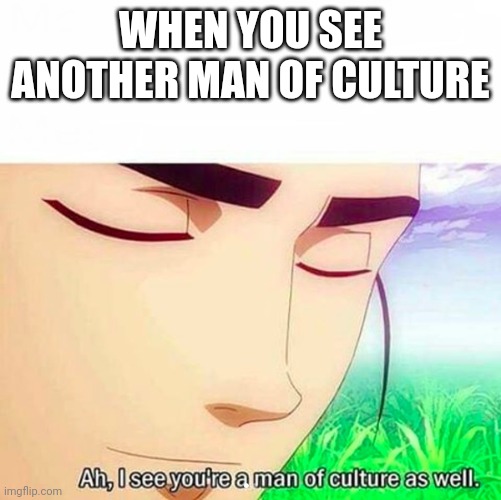 Ah,I see you are a man of culture as well | WHEN YOU SEE ANOTHER MAN OF CULTURE | image tagged in ah i see you are a man of culture as well | made w/ Imgflip meme maker