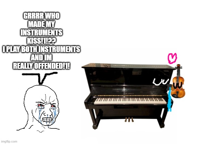 GRRRR WHO MADE MY INSTRUMENTS KISS!1!??
I PLAY BOTH INSTRUMENTS AND IM REALLY OFFENDED!1! | image tagged in white background | made w/ Imgflip meme maker