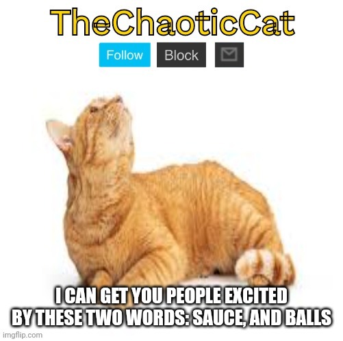 TheChaoticCat temp | I CAN GET YOU PEOPLE EXCITED BY THESE TWO WORDS: SAUCE, AND BALLS | image tagged in thechaoticcat temp | made w/ Imgflip meme maker