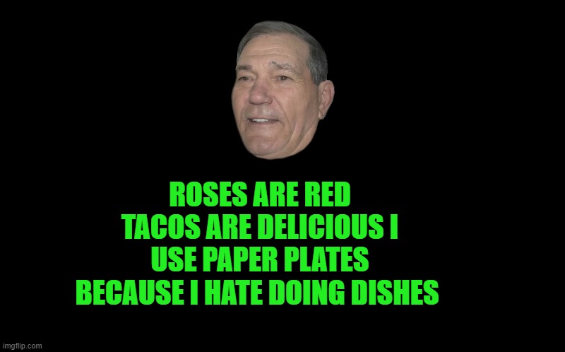 black screen | ROSES ARE RED TACOS ARE DELICIOUS I USE PAPER PLATES BECAUSE I HATE DOING DISHES | image tagged in black screen | made w/ Imgflip meme maker
