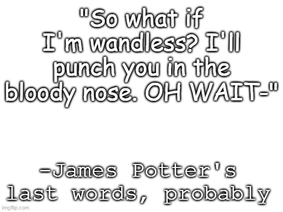 Blank White Template |  "So what if I'm wandless? I'll punch you in the bloody nose. OH WAIT-"; -James Potter's last words, probably | image tagged in blank white template,marauders,harry potter | made w/ Imgflip meme maker