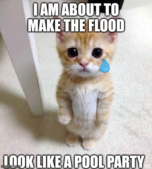 That kinda hurted me doe | I AM ABOUT TO MAKE THE FLOOD; LOOK LIKE A POOL PARTY | image tagged in memes,cute cat,fun,funny memes,cats,sad | made w/ Imgflip meme maker