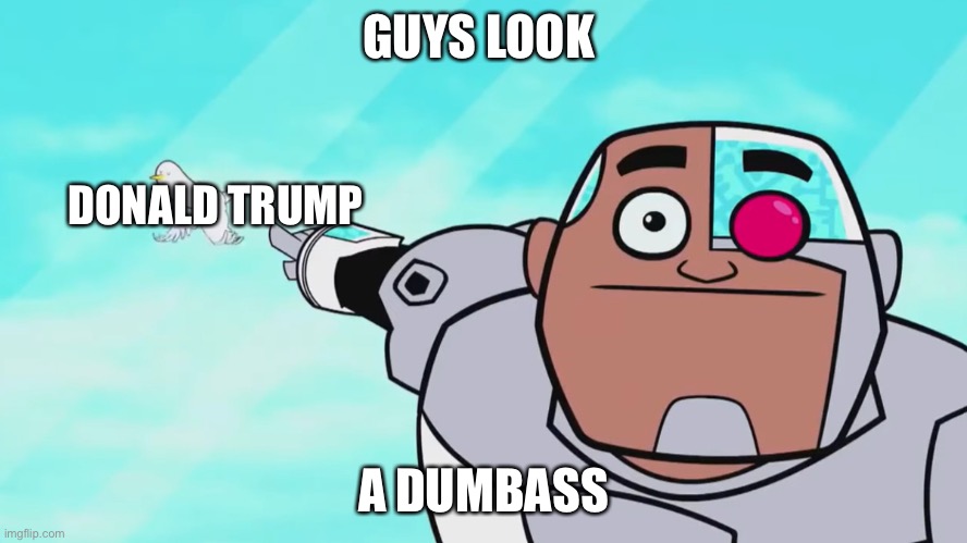 Guys look, a birdie | GUYS LOOK A DUMBASS DONALD TRUMP | image tagged in guys look a birdie | made w/ Imgflip meme maker