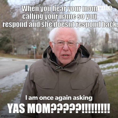 ...Yah mom? | When you hear your mom calling your name so you respond and she doesnt respond back; YAS MOM?????!!!!!!!!! | image tagged in memes,bernie i am once again asking for your support | made w/ Imgflip meme maker