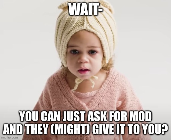 what the hell | WAIT-; YOU CAN JUST ASK FOR MOD AND THEY (MIGHT) GIVE IT TO YOU? | image tagged in what the hell | made w/ Imgflip meme maker