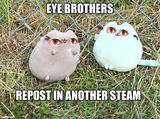 Uuuuuuuuuuuuuuuuuuuuuuuuuuuuuuuummmmmmmmmmmmm | image tagged in cats,pusheen | made w/ Imgflip meme maker