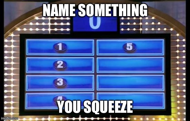 family feud | NAME SOMETHING; YOU SQUEEZE | image tagged in family feud | made w/ Imgflip meme maker