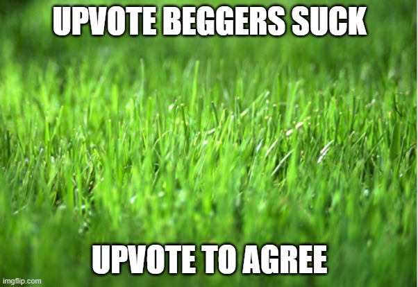 grass is greener | UPVOTE BEGGERS SUCK; UPVOTE TO AGREE | image tagged in grass is greener | made w/ Imgflip meme maker