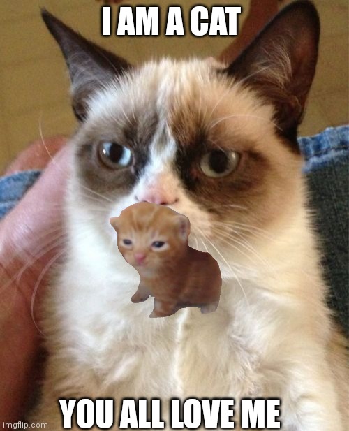 Grumpy Cat | I AM A CAT; YOU ALL LOVE ME | image tagged in memes,grumpy cat | made w/ Imgflip meme maker