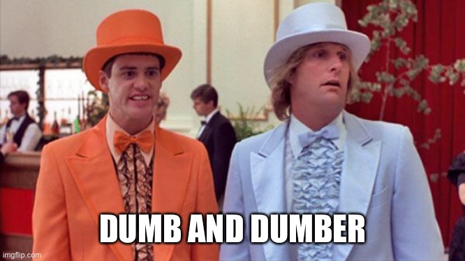 dumb and dumber | DUMB AND DUMBER | image tagged in dumb and dumber | made w/ Imgflip meme maker