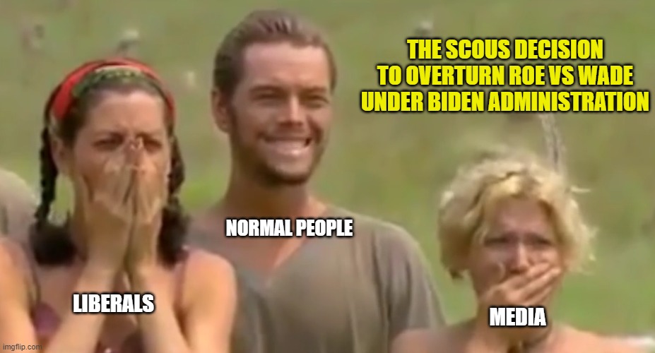 This is what Democracy looks like | THE SCOUS DECISION TO OVERTURN ROE VS WADE UNDER BIDEN ADMINISTRATION; NORMAL PEOPLE; LIBERALS; MEDIA | image tagged in supreme court,abortion,democracy,liberals,democrats,media bias | made w/ Imgflip meme maker