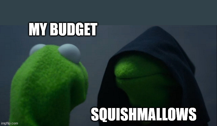 If you know, you know | MY BUDGET; SQUISHMALLOWS | image tagged in memes,evil kermit | made w/ Imgflip meme maker