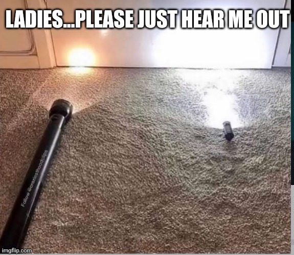LADIES...PLEASE JUST HEAR ME OUT | image tagged in funny memes | made w/ Imgflip meme maker