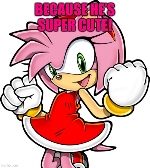 Amy Rose | BECAUSE HE’S SUPER CUTE! | image tagged in amy rose | made w/ Imgflip meme maker