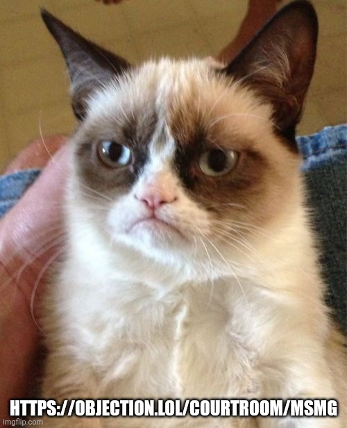 Grumpy Cat | HTTPS://OBJECTION.LOL/COURTROOM/MSMG | image tagged in memes,grumpy cat | made w/ Imgflip meme maker