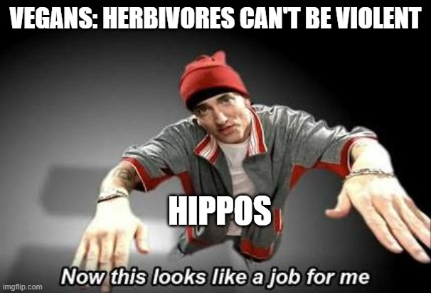 Now this looks like a job for me | VEGANS: HERBIVORES CAN'T BE VIOLENT; HIPPOS | image tagged in now this looks like a job for me | made w/ Imgflip meme maker