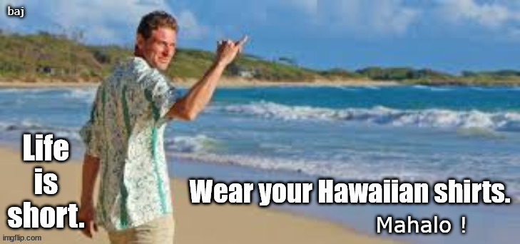 Life is Short. Mahalo | baj; Mahalo ! | image tagged in mahalo,life lessons,enjoy,hawaiian shirt | made w/ Imgflip meme maker