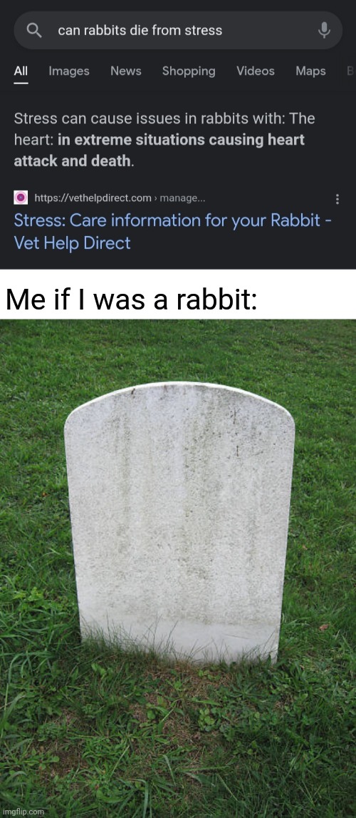 Me if I was a rabbit: | image tagged in grave stone | made w/ Imgflip meme maker
