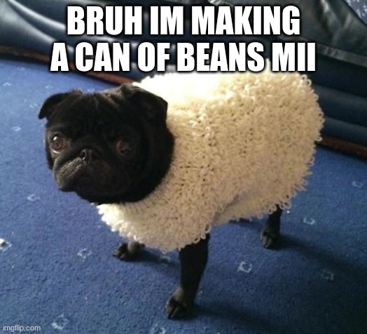 the ramen pug | BRUH IM MAKING A CAN OF BEANS MII | image tagged in the ramen pug | made w/ Imgflip meme maker