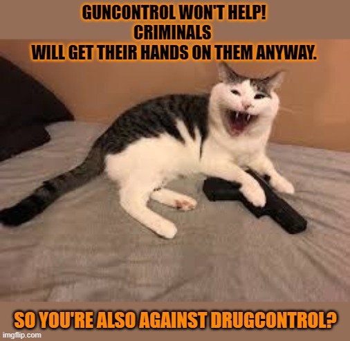This #lolcat wonders what's the point of laws if criminals will brake them anyway |  GUNCONTROL WON'T HELP!
CRIMINALS 
WILL GET THEIR HANDS ON THEM ANYWAY. SO YOU'RE ALSO AGAINST DRUGCONTROL? | image tagged in war on drugs,gun control,lolcat,think about it,double standards | made w/ Imgflip meme maker