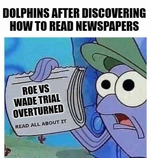 Well, this changes everything | DOLPHINS AFTER DISCOVERING HOW TO READ NEWSPAPERS; ROE VS WADE TRIAL OVERTURNED | image tagged in read all about it | made w/ Imgflip meme maker