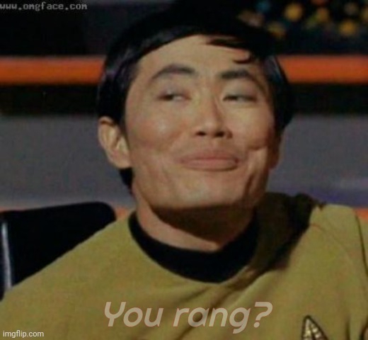 Sulu knows what you're talking about,,, | You rang? | image tagged in sulu knows what you're talking about | made w/ Imgflip meme maker