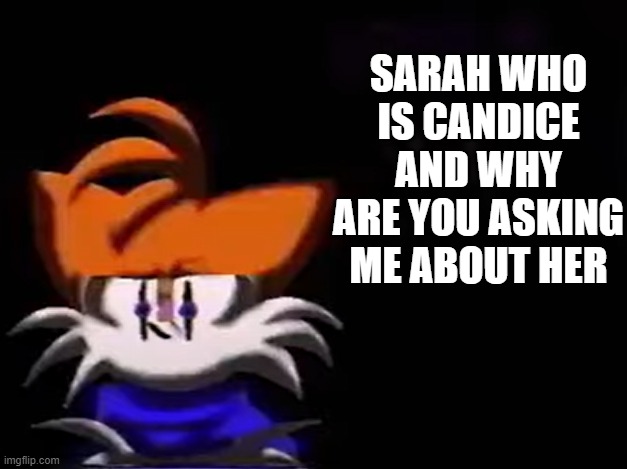 SARAH NO | SARAH WHO IS CANDICE AND WHY ARE YOU ASKING ME ABOUT HER | image tagged in sarah i am not going to __ aka luther disagrees | made w/ Imgflip meme maker