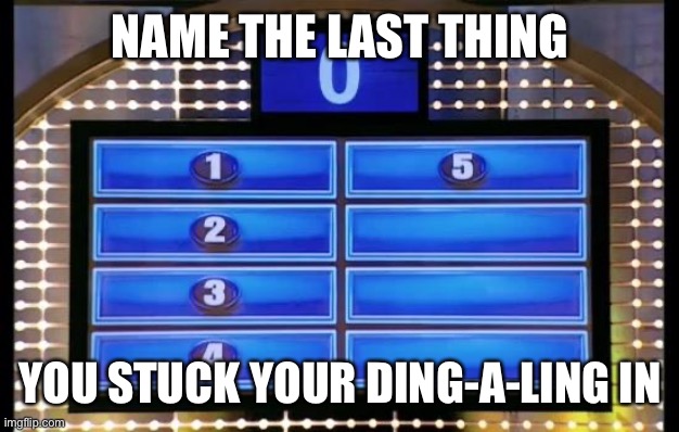 family feud | NAME THE LAST THING; YOU STUCK YOUR DING-A-LING IN | image tagged in family feud | made w/ Imgflip meme maker
