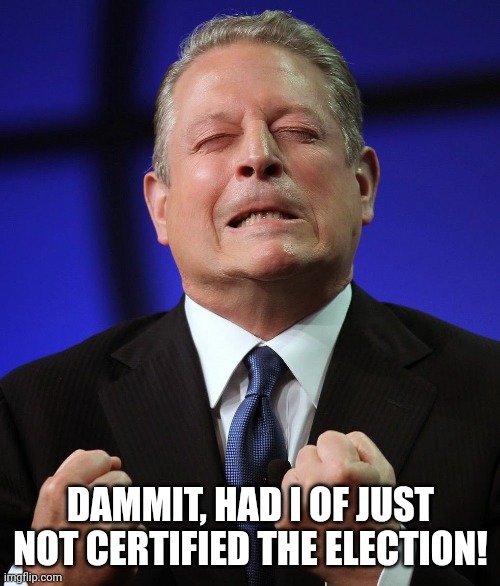 DAMMIT, HAD I OF JUST NOT CERTIFIED THE ELECTION! | image tagged in al gore | made w/ Imgflip meme maker