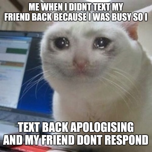 this happened to me. comment if this happened to you | ME WHEN I DIDNT TEXT MY FRIEND BACK BECAUSE I WAS BUSY SO I; TEXT BACK APOLOGISING AND MY FRIEND DONT RESPOND | image tagged in crying cat,memes,text | made w/ Imgflip meme maker