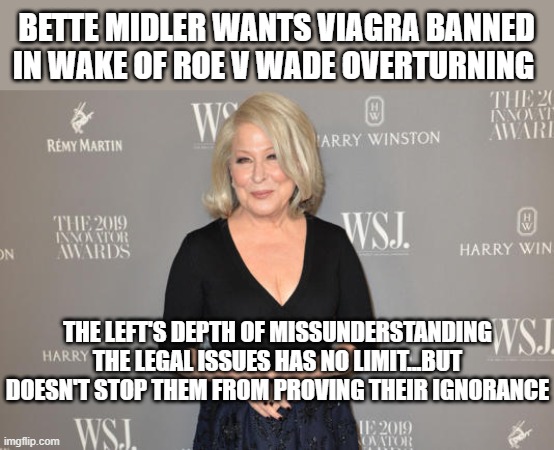 BETTE MIDLER WANTS VIAGRA BANNED IN WAKE OF ROE V WADE OVERTURNING; THE LEFT'S DEPTH OF MISSUNDERSTANDING THE LEGAL ISSUES HAS NO LIMIT...BUT DOESN'T STOP THEM FROM PROVING THEIR IGNORANCE | made w/ Imgflip meme maker