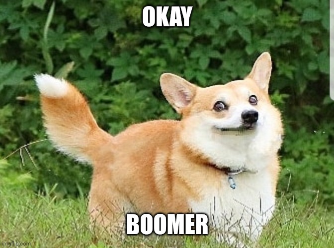 OKAY BOOMER | image tagged in ok boomer corgi | made w/ Imgflip meme maker