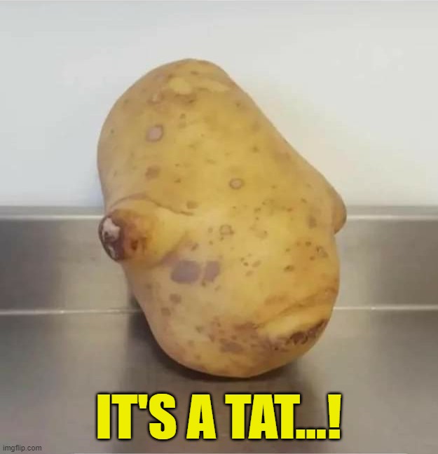 Admiral Potato Head | IT'S A TAT...! | image tagged in admiral ackbar,star wars,it's a trap | made w/ Imgflip meme maker