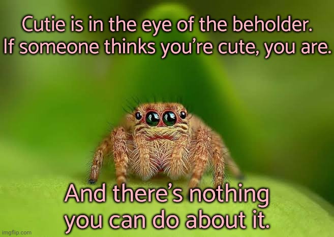 It's hard for me to accept too. | Cutie is in the eye of the beholder. If someone thinks you're cute, you are. And there's nothing you can do about it. | image tagged in cute spider,uplifting,words of wisdom,wholesome,self-worth | made w/ Imgflip meme maker