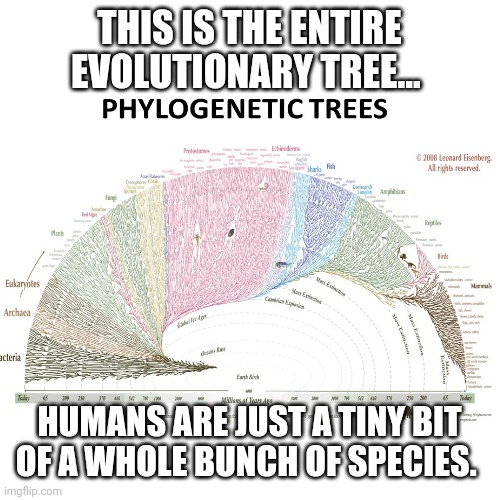 And this is outdated, recently there have been discovered a lot more species |  THIS IS THE ENTIRE EVOLUTIONARY TREE... HUMANS ARE JUST A TINY BIT OF A WHOLE BUNCH OF SPECIES. | image tagged in evolution,biology,tree of life | made w/ Imgflip meme maker