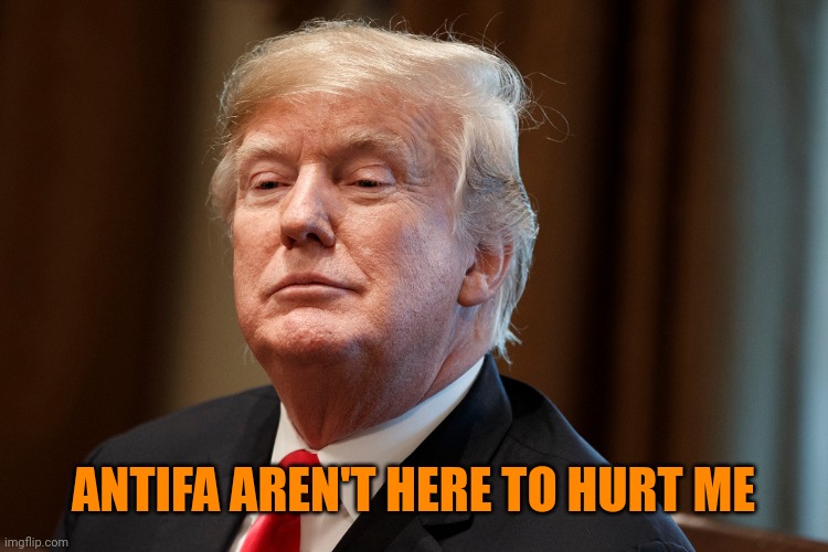 ANTIFA AREN'T HERE TO HURT ME | image tagged in trump | made w/ Imgflip meme maker