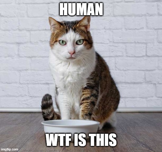 HUMAN WTF IS THIS | made w/ Imgflip meme maker